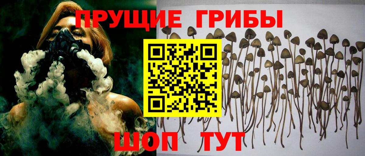 Галлюциногенные грибы мухоморы  Вход с VPN  цена   Татарск 