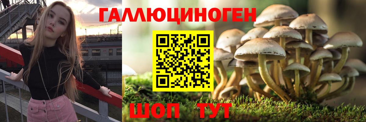 Галлюциногенные грибы мицелий Татарск